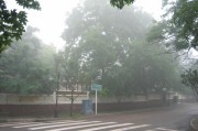 青島3日遊(6.30~7.2)。