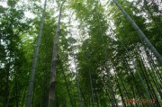 煙花四月下江南，春來江水綠如藍——宜興、南潯五一遊記。