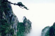 悠然廬山遊。